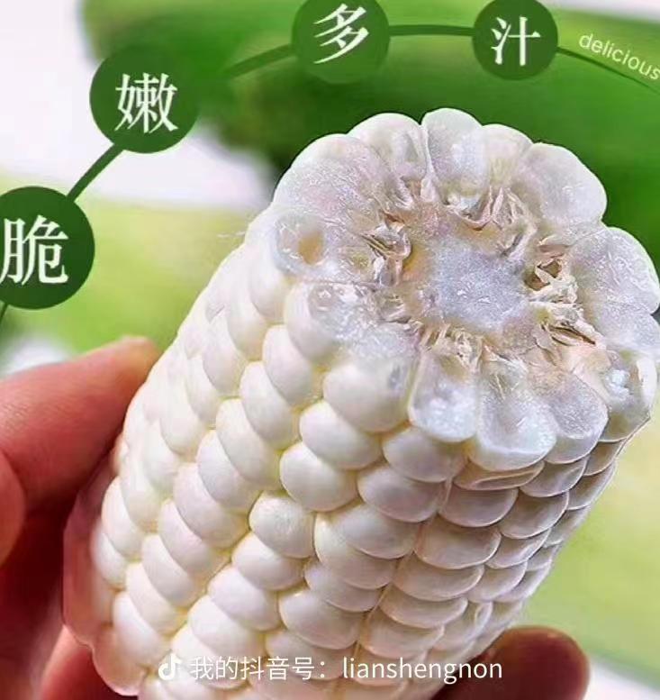 微信图片_202208290918262.jpg