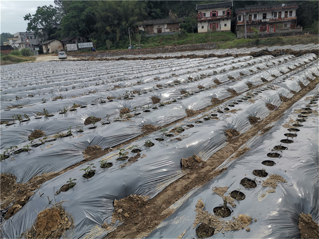 基地环境