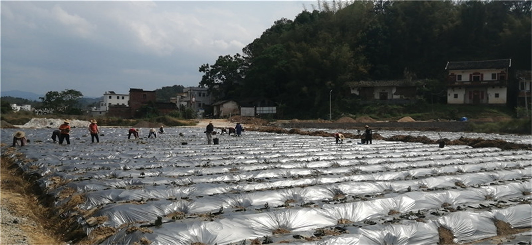 基地环境