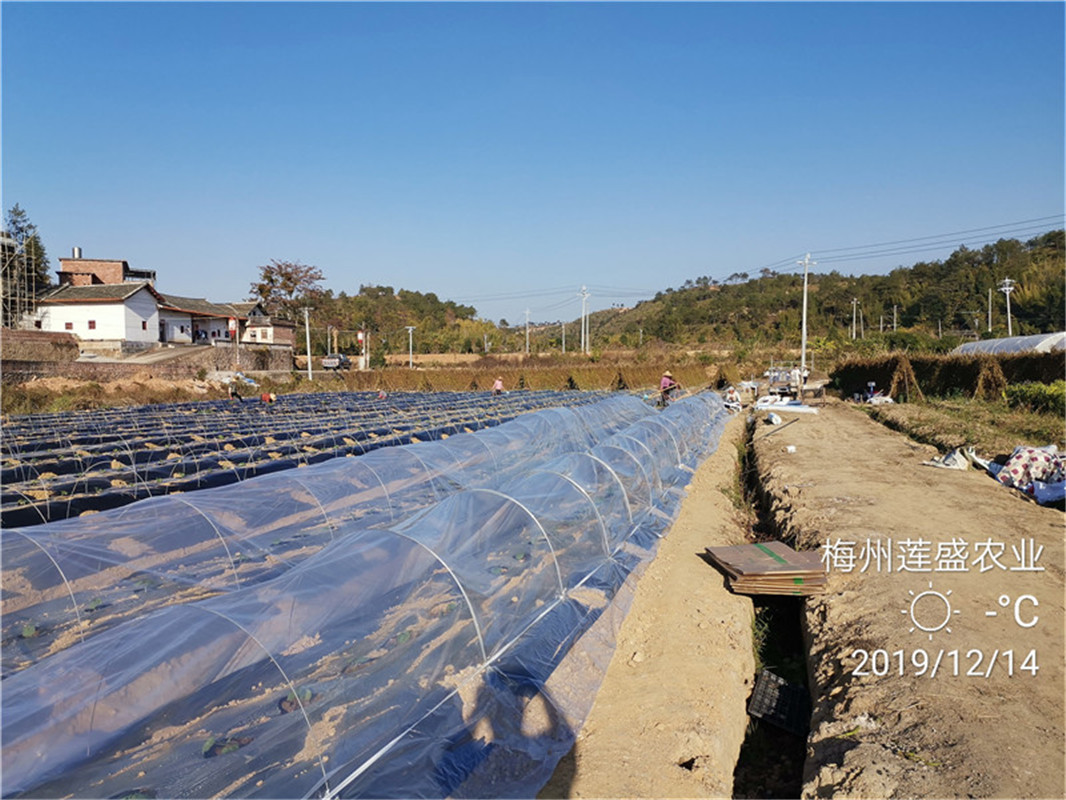 基地环境