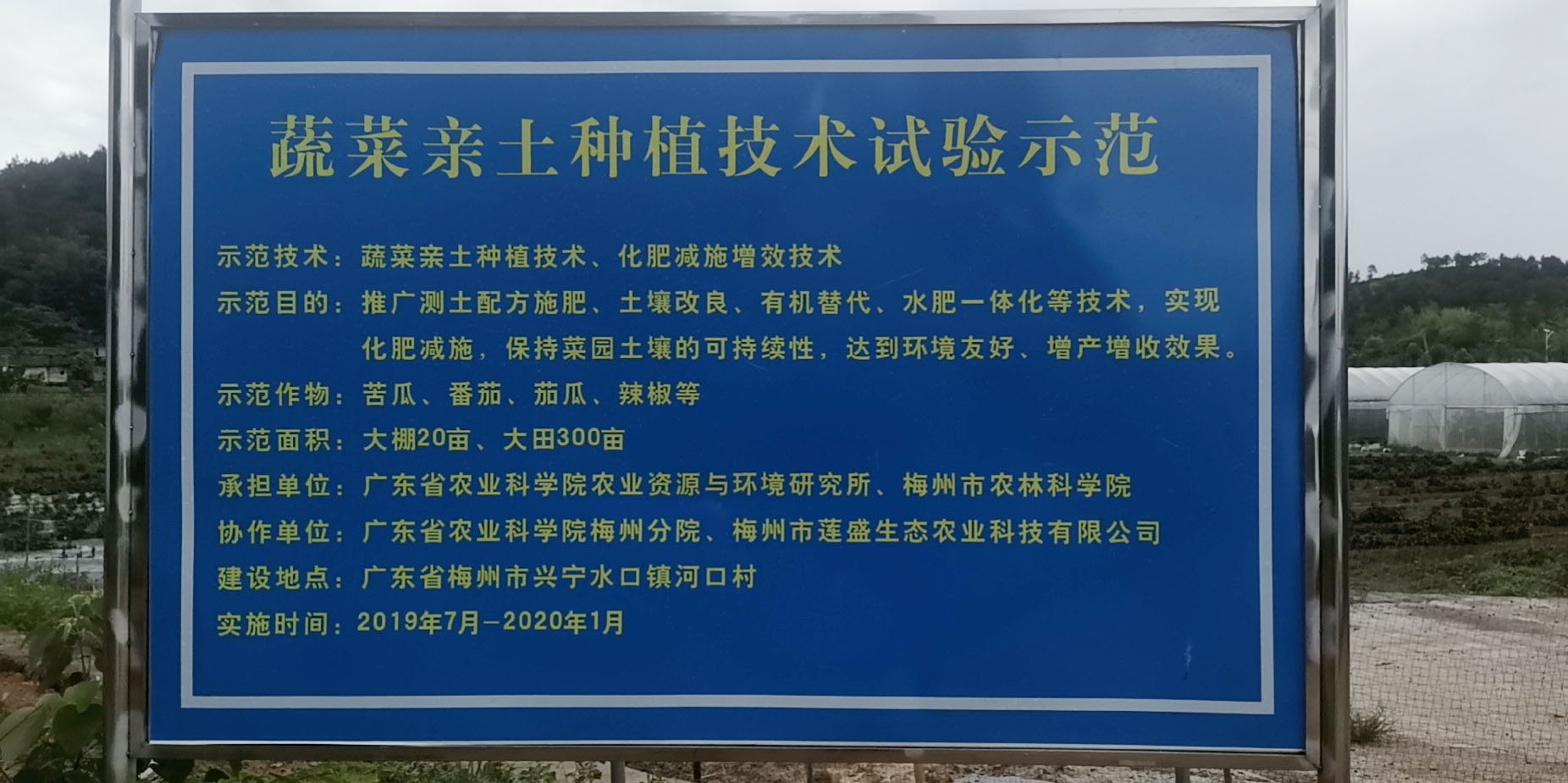 蔬菜亲土种植技术试验示范