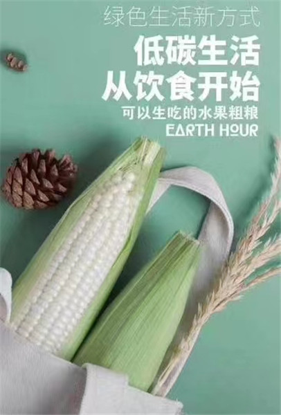 水果玉米
