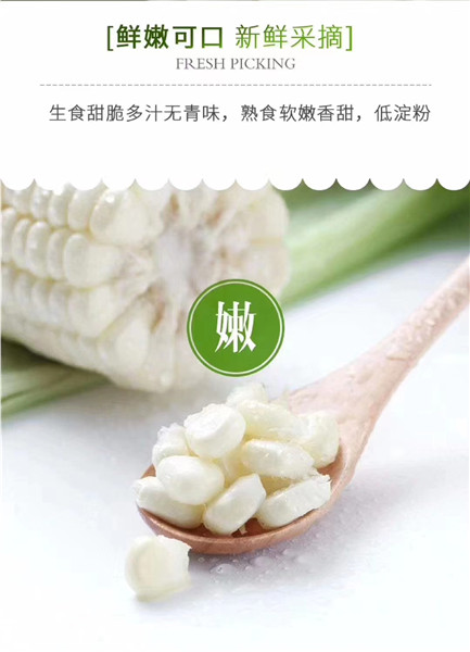 水果玉米