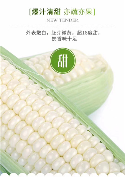 水果玉米