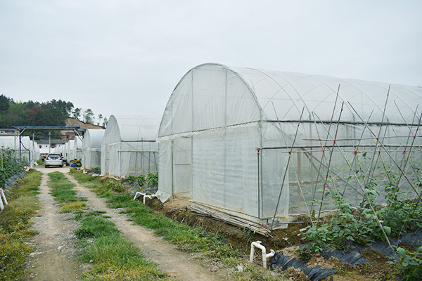 莲盛基地